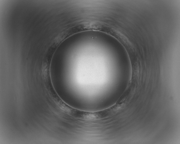 X0000073870513200608101513