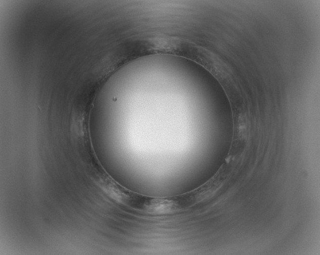 X0000073870514200608101513