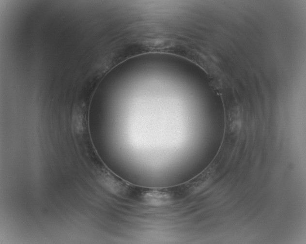 X0000073870515200608101513