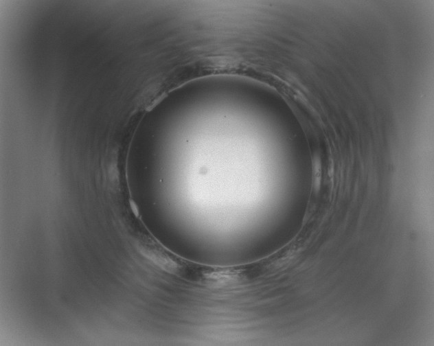 X0000073870516200608101513