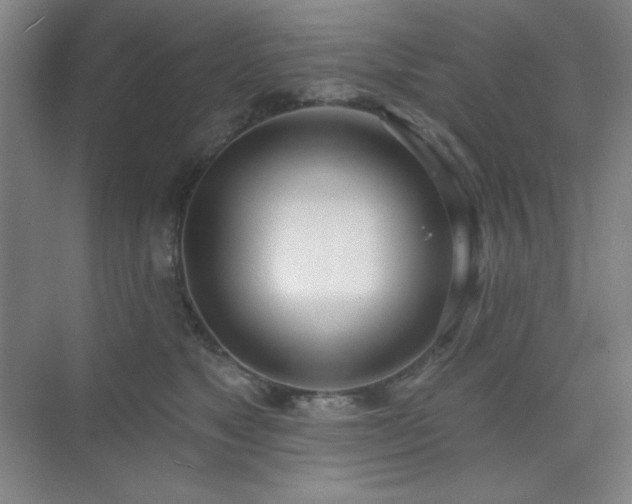 X0000073870517200608101513