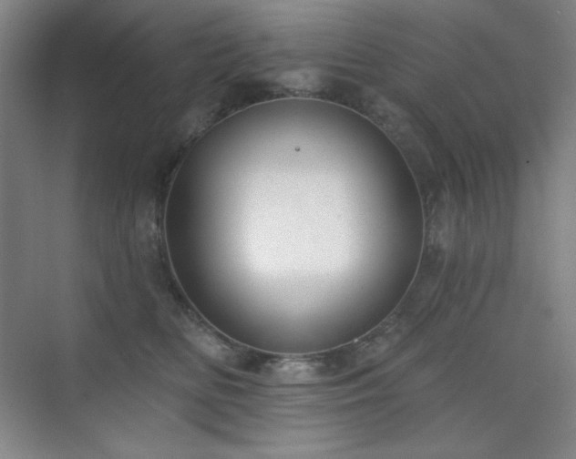 X0000073870518200608101513