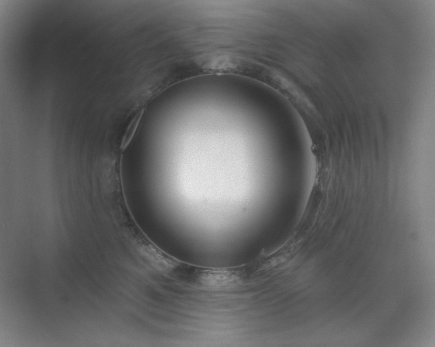 X0000073870521200608101513