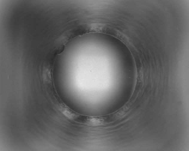 X0000073870522200608101513