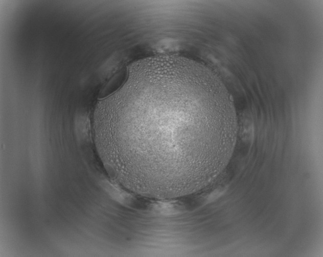 X0000073870523200608101513