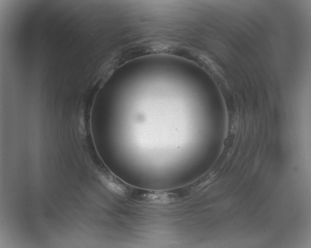 X0000073870524200608101513