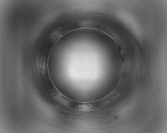 X0000073870525200608101513