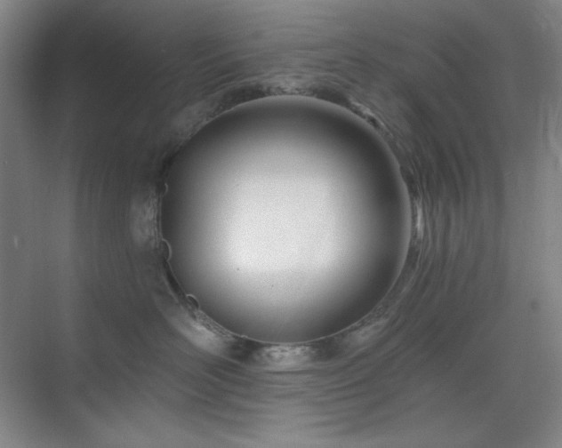 X0000073870526200608101513