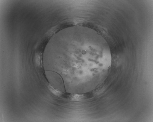 X0000073870527200608101513