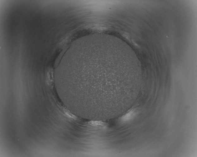 X0000073870528200608101513