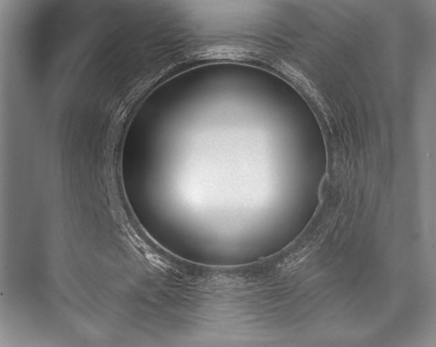 X0000073870529200608101512