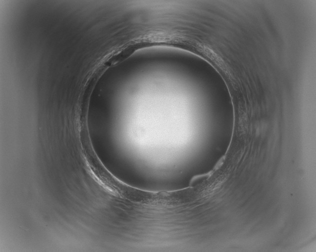 X0000073870530200608101512