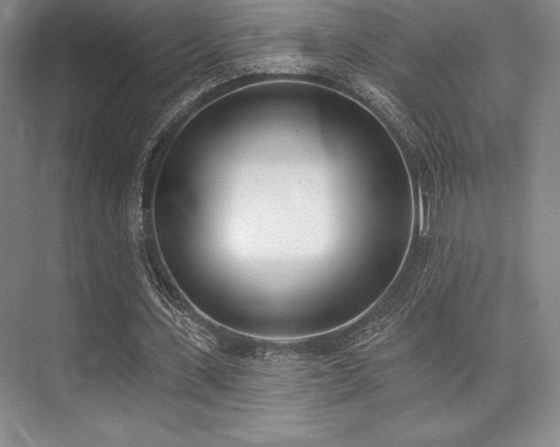 X0000073870531200608101512