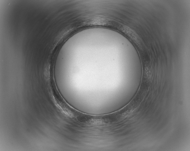 X0000073870534200608101512