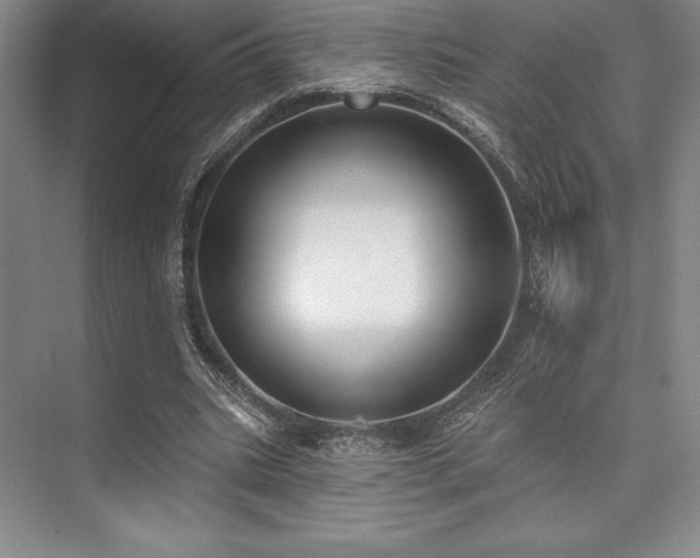 X0000073870535200608101512