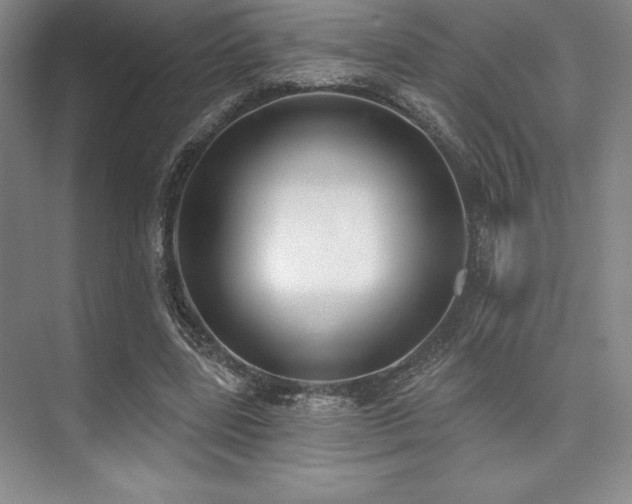 X0000073870539200608101512