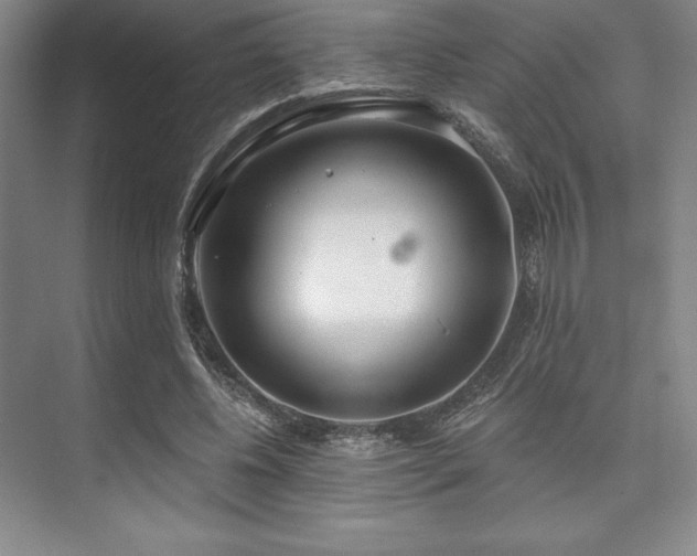 X0000073870540200608101512