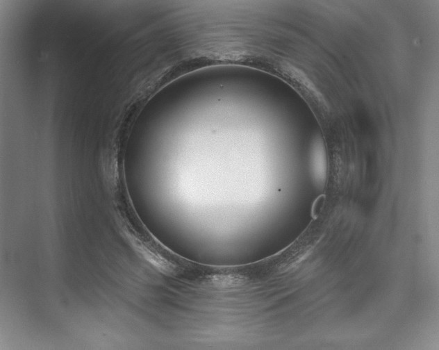 X0000073870541200608101512