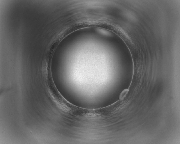 X0000073870542200608101512