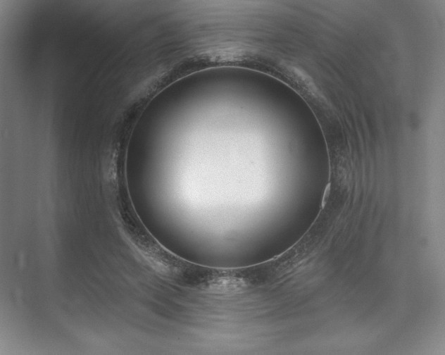 X0000073870543200608101512