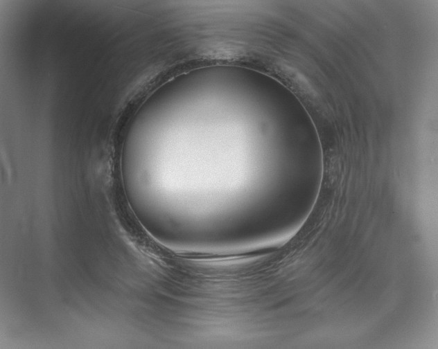 X0000073870544200608101512