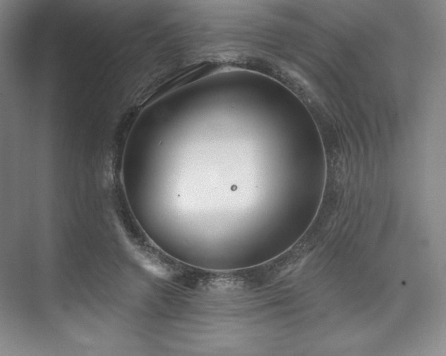 X0000073870546200608101512