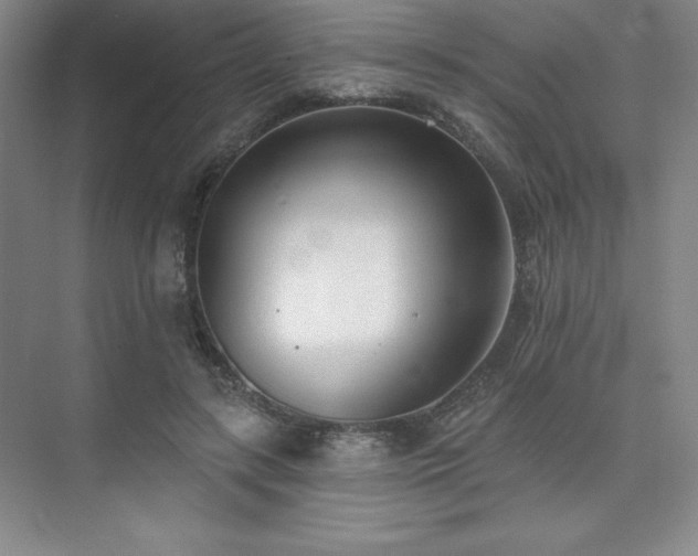 X0000073870547200608101512