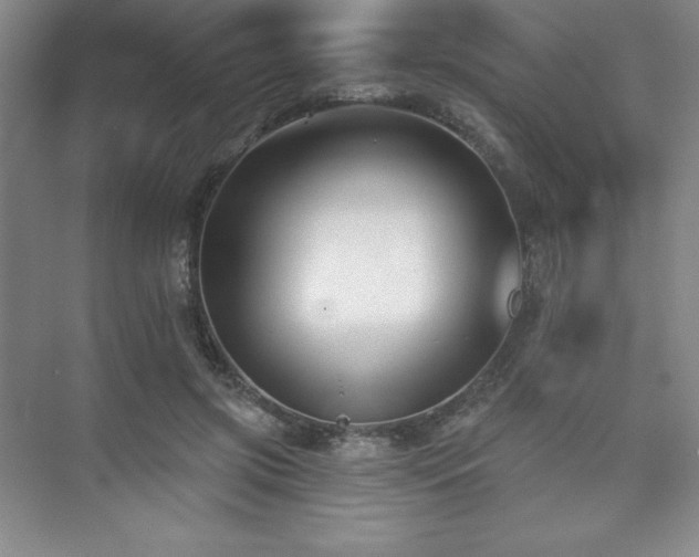 X0000073870549200608101512