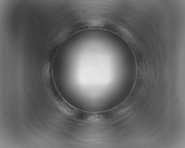 X0000073870550200608101512