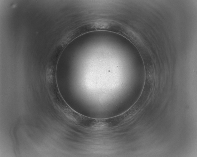 X0000073870551200608101512