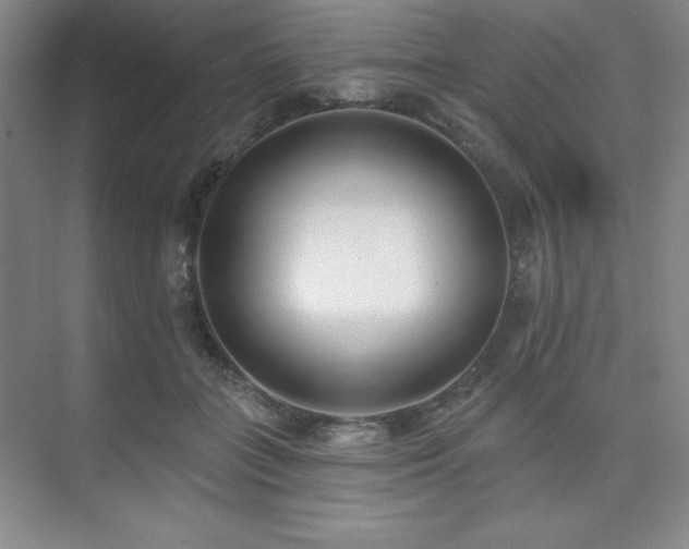 X0000073870555200608101512