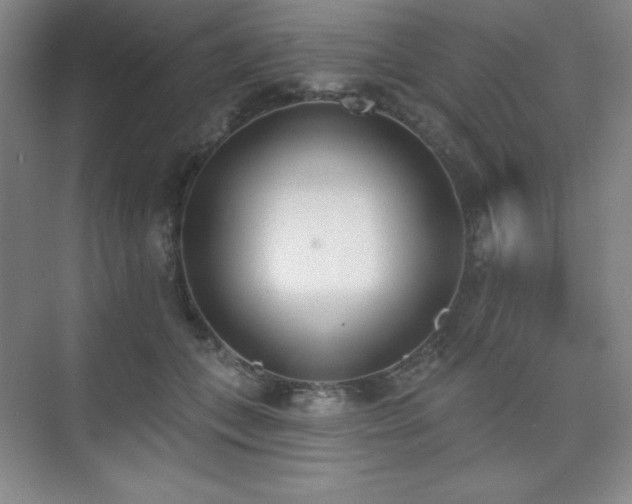 X0000073870559200608101512