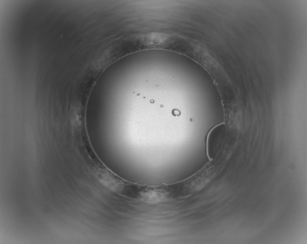 X0000073870561200608101512