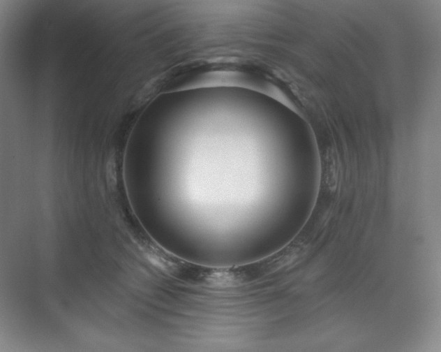 X0000073870562200608101512