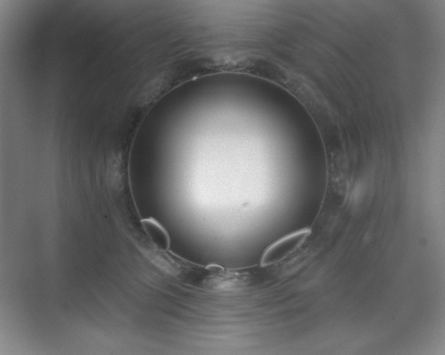 X0000073870563200608101512