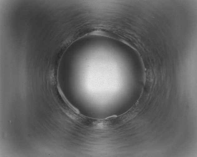 X0000073870564200608101512