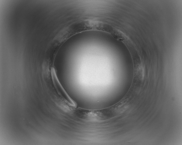 X0000073870566200608101512