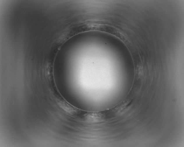 X0000073870567200608101513