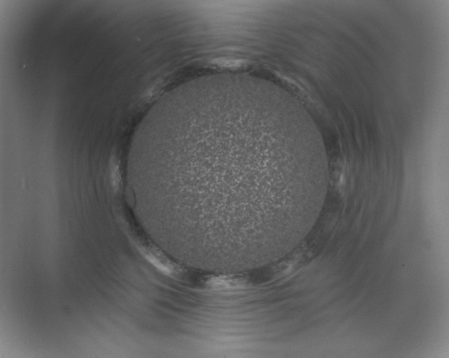 X0000073870568200608101513