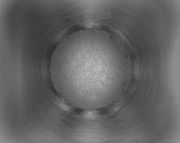 X0000073870569200608101513