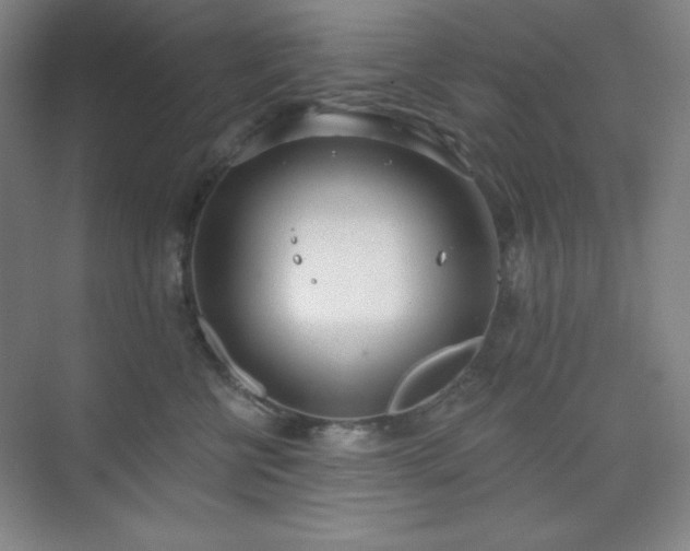 X0000073870570200608101513