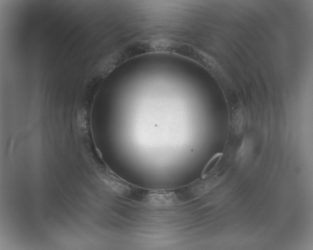 X0000073870571200608101513