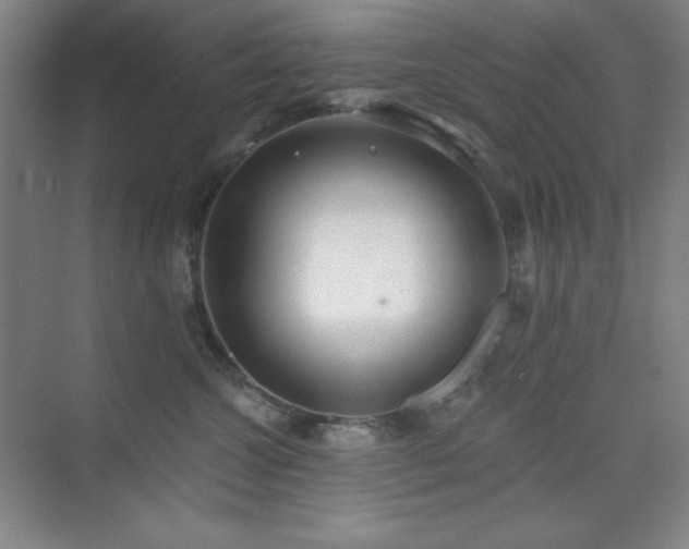 X0000073870572200608101513