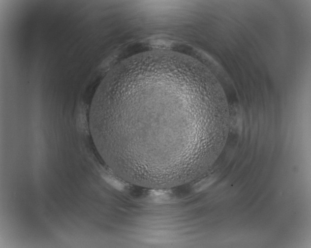 X0000073870573200608101513