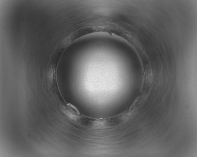 X0000073870574200608101513