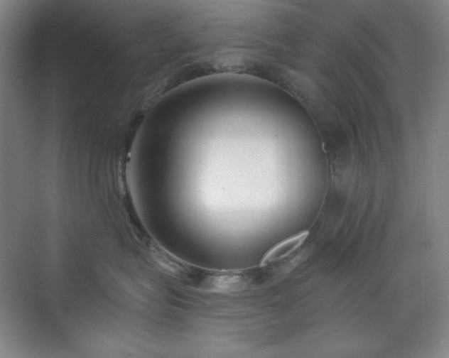 X0000073870575200608101513