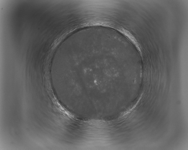 X0000073870577200608101512