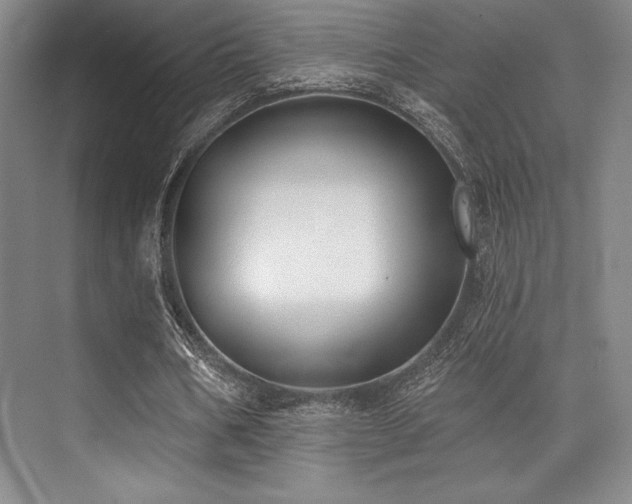 X0000073870578200608101512