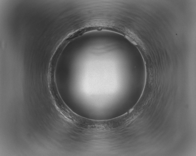 X0000073870580200608101512