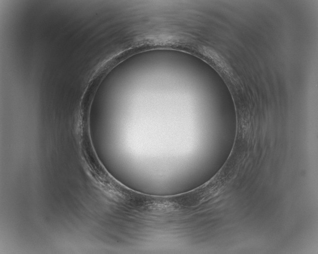 X0000073870583200608101512